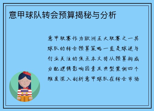 意甲球队转会预算揭秘与分析