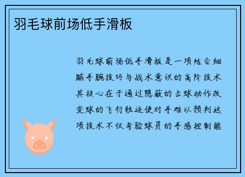 羽毛球前场低手滑板